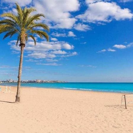 Casco Antiguo3 Minutos De La Playa Daire Alicante Dış mekan fotoğraf
